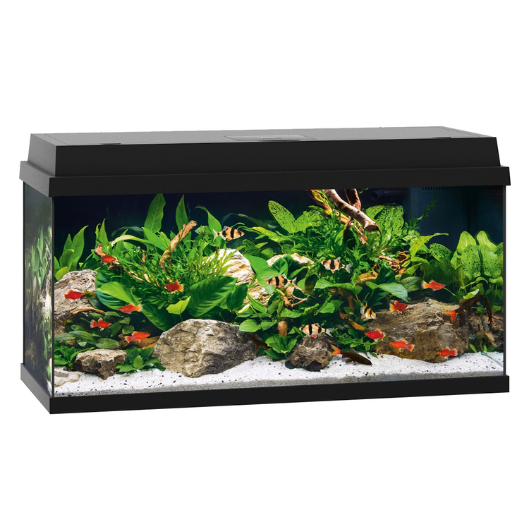 Foto van Juwel Aquarium Primo 110