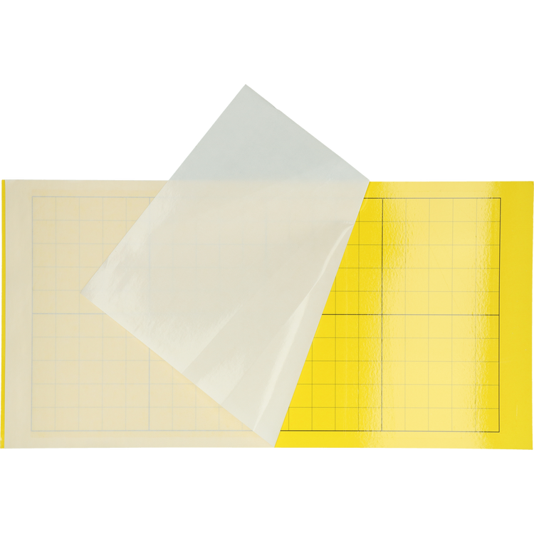 Foto van Lijmplaat Insectron 200/300 per 6 st.