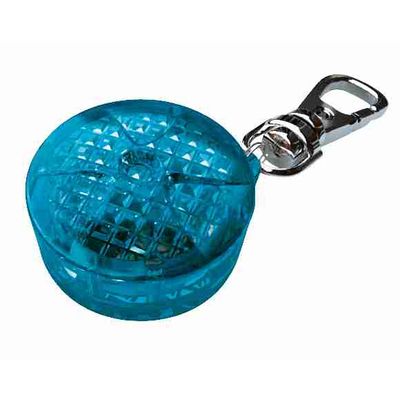 Foto van Trixie Flasher