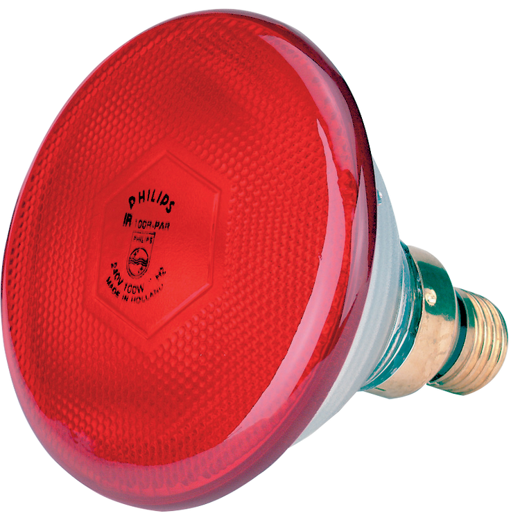 Foto van Lamp 175 W rood Philips spaar