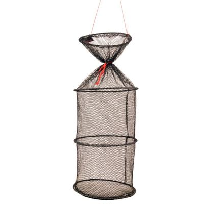 Foto van Albatros Frommelnet