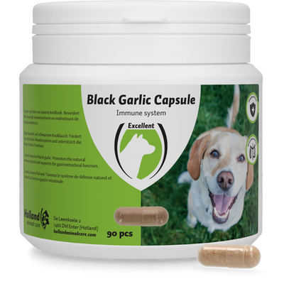 Foto van Black Garlic capsule Hond