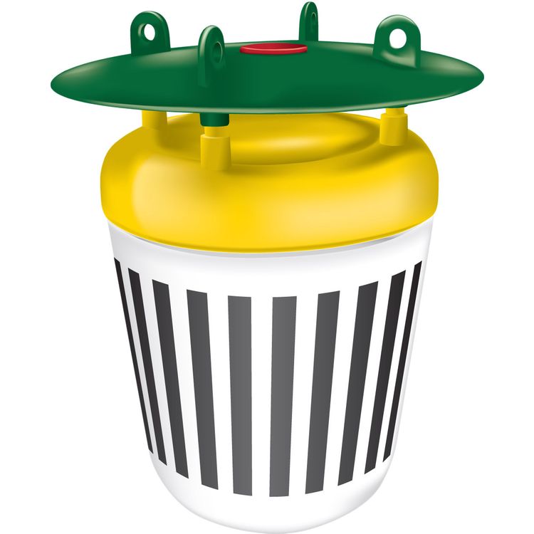 Foto van Black Stripe Mottenval