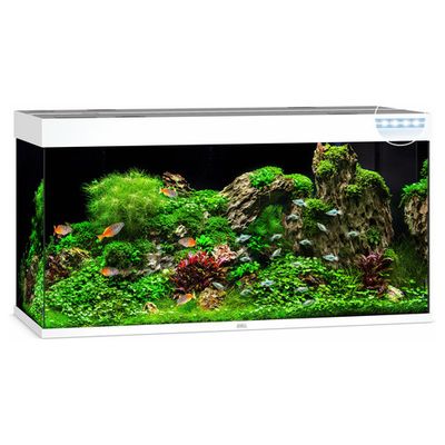 Juwel Aquarium Rio 350 LED Foto van Juwel Aquarium Rio 350 LED