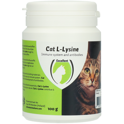 Foto van Cat L-Lysine