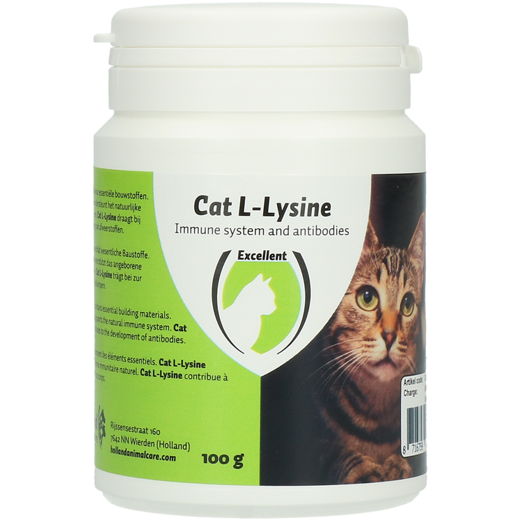 Foto van Cat L-Lysine