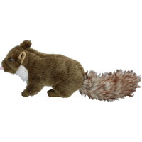 Wild Life Dog Marten