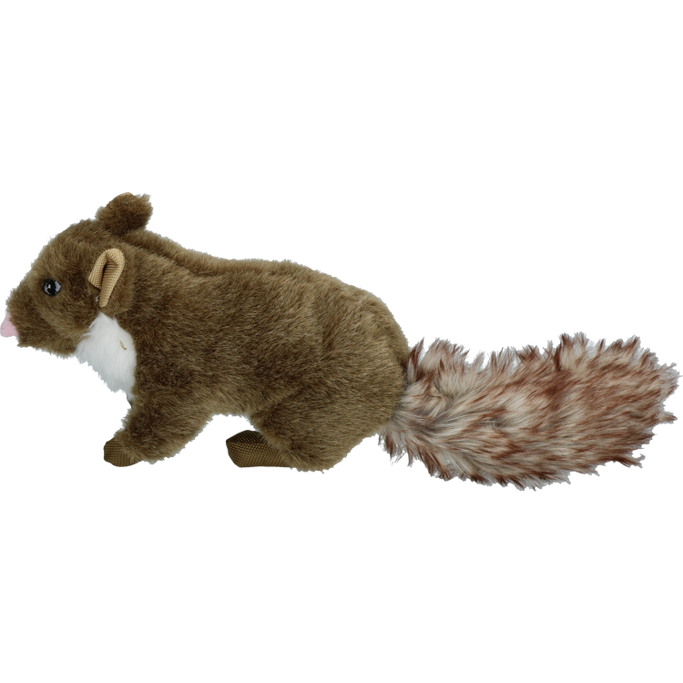 Foto van Wild Life Dog Marten