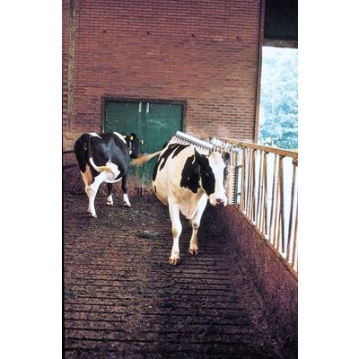 Foto van Veeborstel compleet