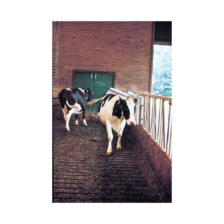 Foto van Veeborstel compleet