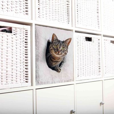 Foto van Trixie Schuilplaats voor kasten