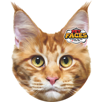 Pet Faces Maine Coon Cat