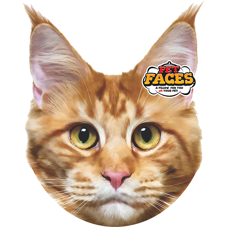 Foto van Pet Faces Maine Coon Cat