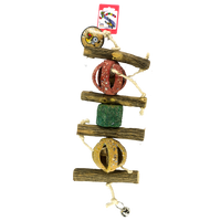 Birrdeeez Coral Ball Sekelbos Puzzle Bird Toy