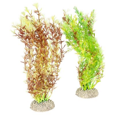 Aqua Della Decor plant egeria densa Foto van Aqua Della Decor plant egeria densa