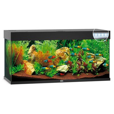 Juwel Aquarium Rio 240 LED Foto van Juwel Aquarium Rio 240 LED