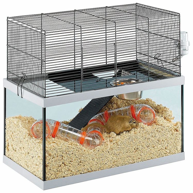 Ferplast Muis-dwerghamsterkooi gabry 60 Foto van Ferplast Muis-dwerghamsterkooi gabry 60