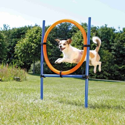 Trixie Dog Activity Agility ring Foto van Trixie Dog Activity Agility ring