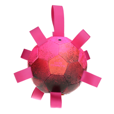 Foto van Dog Comets Hypernova Roze