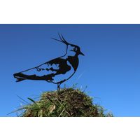 Vogel Cortenstaal - Kievit - Zwart