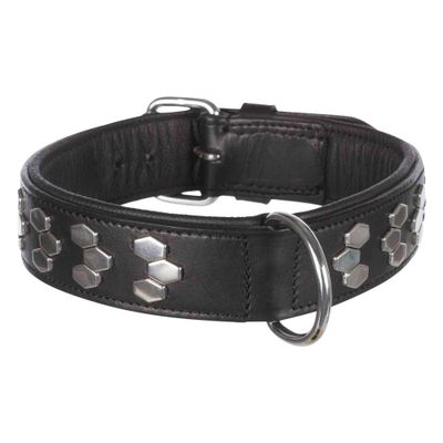 Trixie Active Halsband met applicaties leer Foto van Trixie Active Halsband met applicaties leer