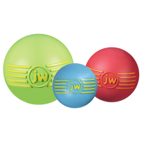 JW Isqueak Ball L 10 cm