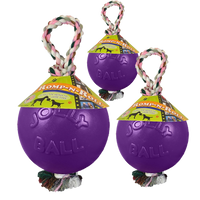 Jolly Ball Romp-n-Roll 15cm Paars