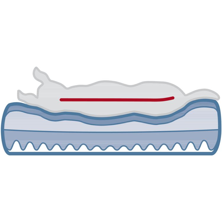 Trixie Vital comfort matras Bendson Foto van Trixie Vital comfort matras Bendson