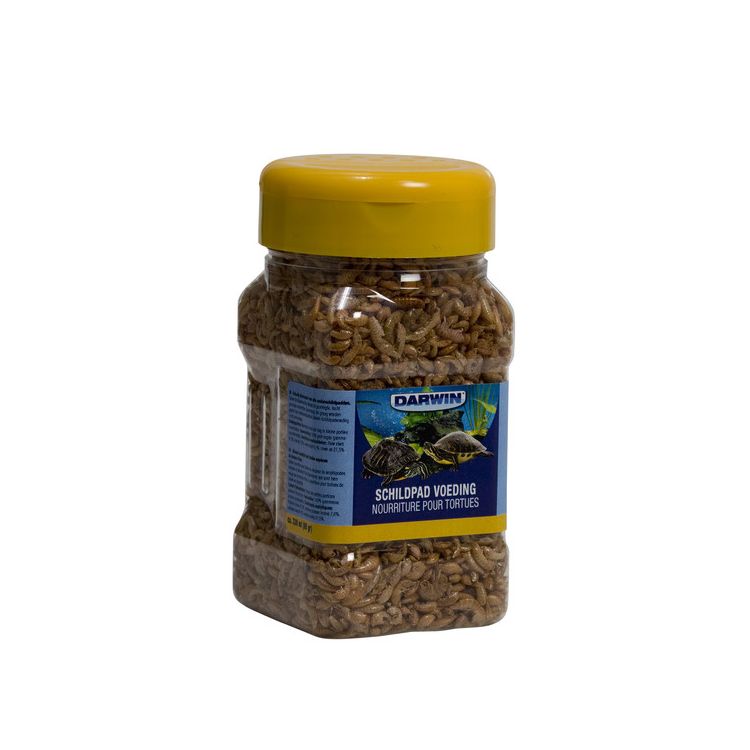 Foto van Darwin Schildpad voeding
