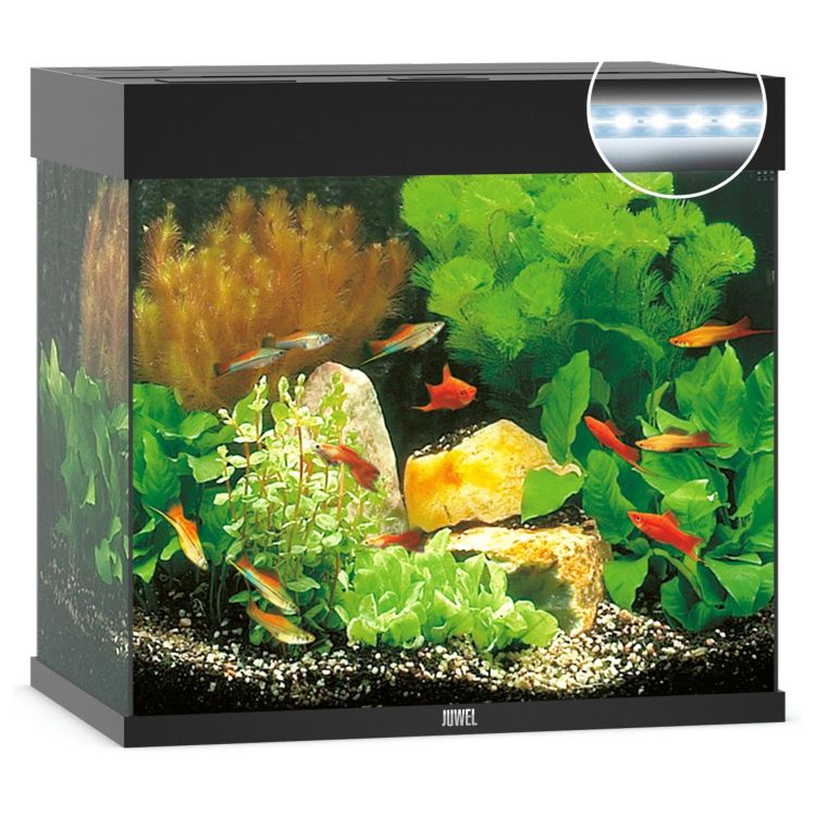 Foto van Juwel Aquarium Lido 120 LED