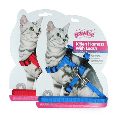 Foto van Pawise Kitten Harness Leash-Red/Blue