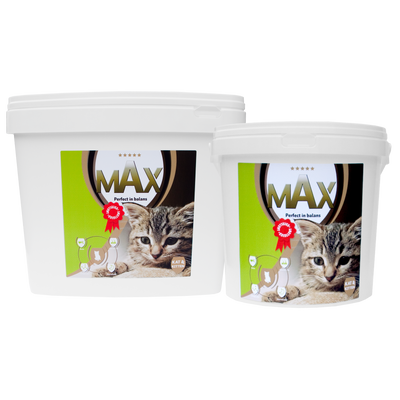 Foto van Max Kat en Kitten