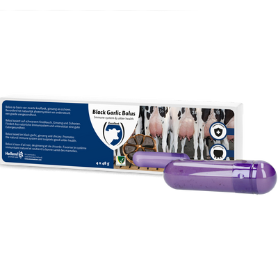 Foto van Black Garlic Bolus Rund