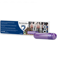 Black Garlic Bolus Rund