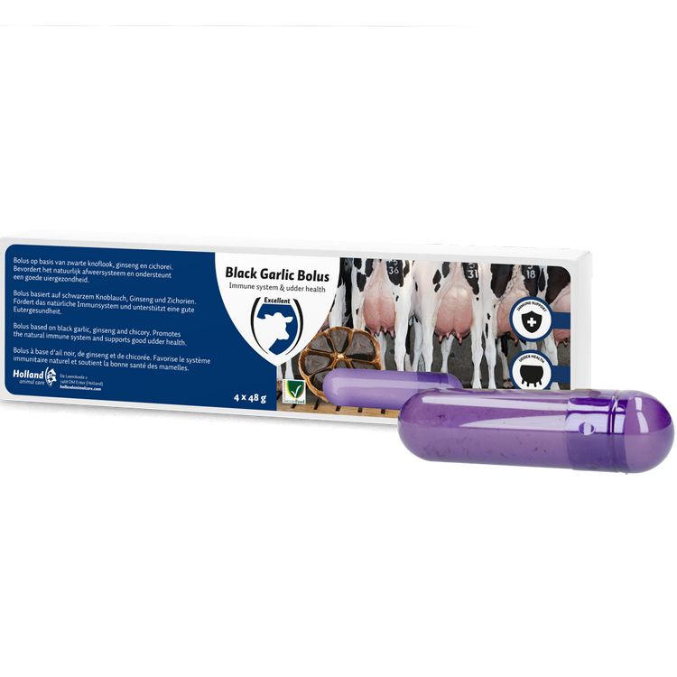 Foto van Black Garlic Bolus Rund