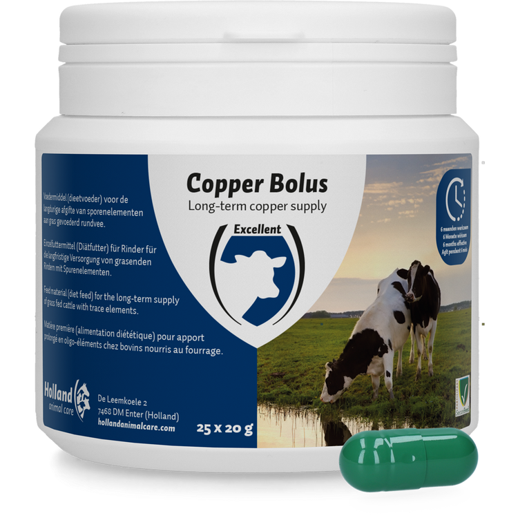 Foto van Copper Bolus