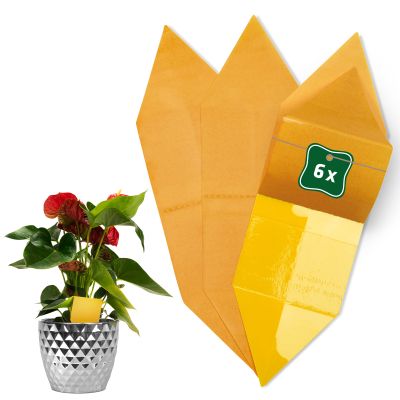 Foto van Gele Stickers 6-pack - Monitoring Systeem voor Kamerplant Plagen - Insectenvrij & Gifvrij - Gardigo