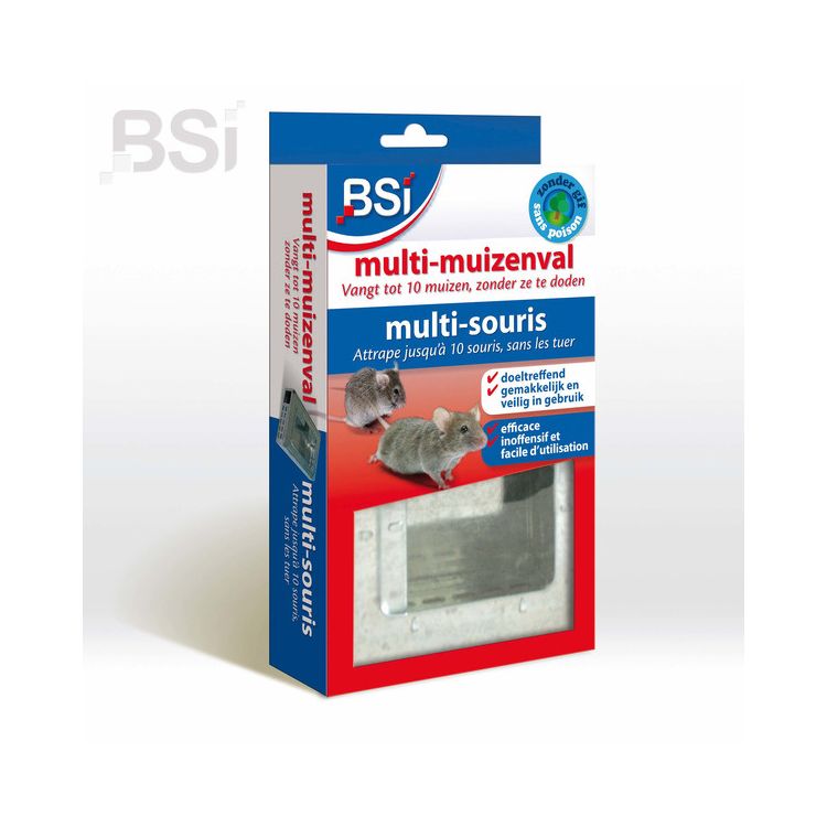 BSI Multi-Muizenval Foto van BSI Multi-Muizenval