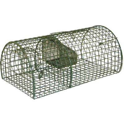 Foto van Rattenval inloop levend en Aliveen Massa