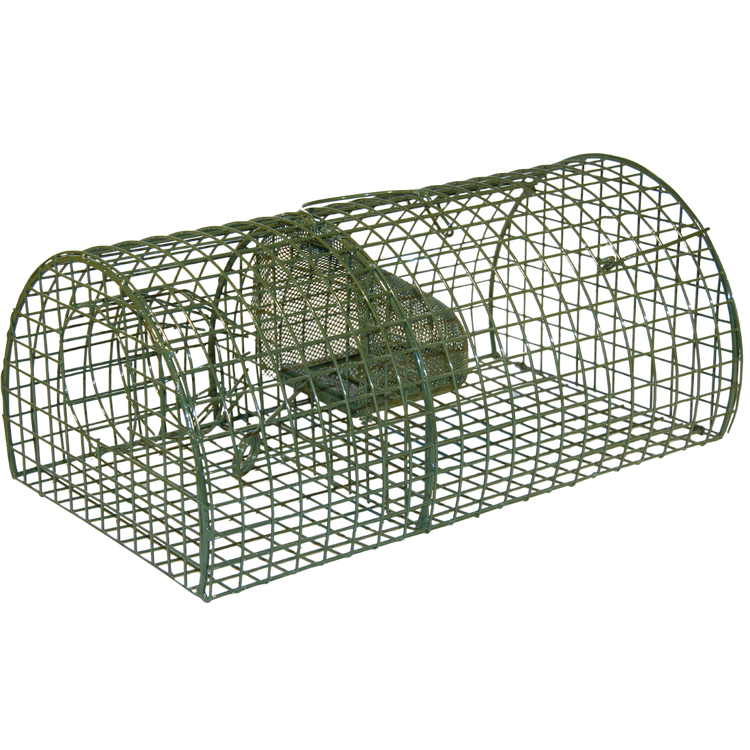 Foto van Rattenval inloop levend en Aliveen Massa