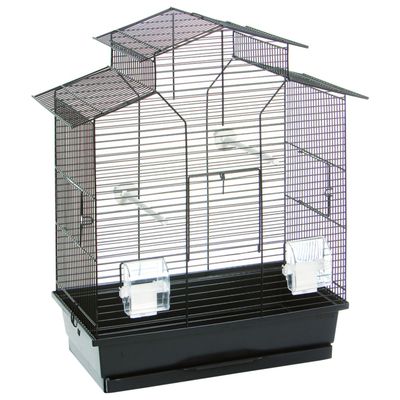 Foto van Flamingo Vogelkooi Numfor