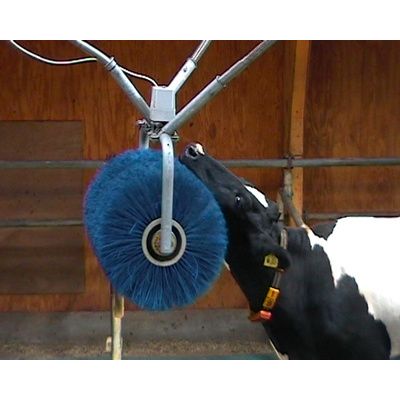 Foto van Veeborstel en Vinken Roterend