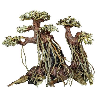 Foto van SuperFish Bonsai twin tree medium
