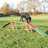 Trixie Agility brug