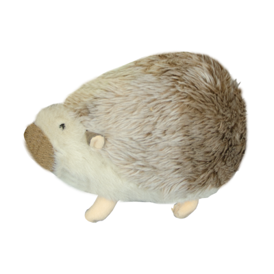 Foto van American Wild Hedgehog Small