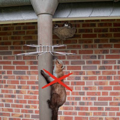 Steenmarter verjager gordel duo pak Gardigo Foto van Steenmarter verjager gordel duo pak Gardigo