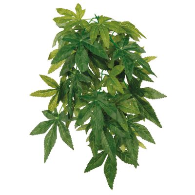 Foto van Trixie Zijden hangplant Abutilon