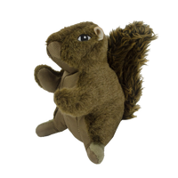 Wild Life Dog Squirrel (Eekhoorn)