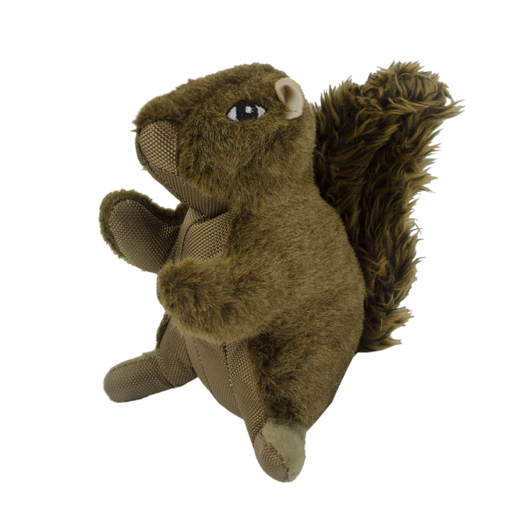 Foto van Wild Life Dog Squirrel (Eekhoorn)