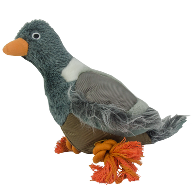 Foto van Wild Life Dog Pigeon (Duif)